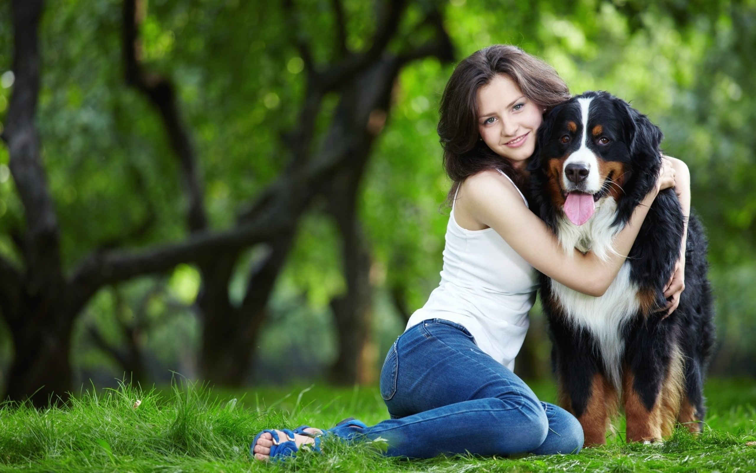 Wallpaper, brunette, grass, pet, girl, meadow, lawn, interaction, dog like mammal, dog walking 2560x1600