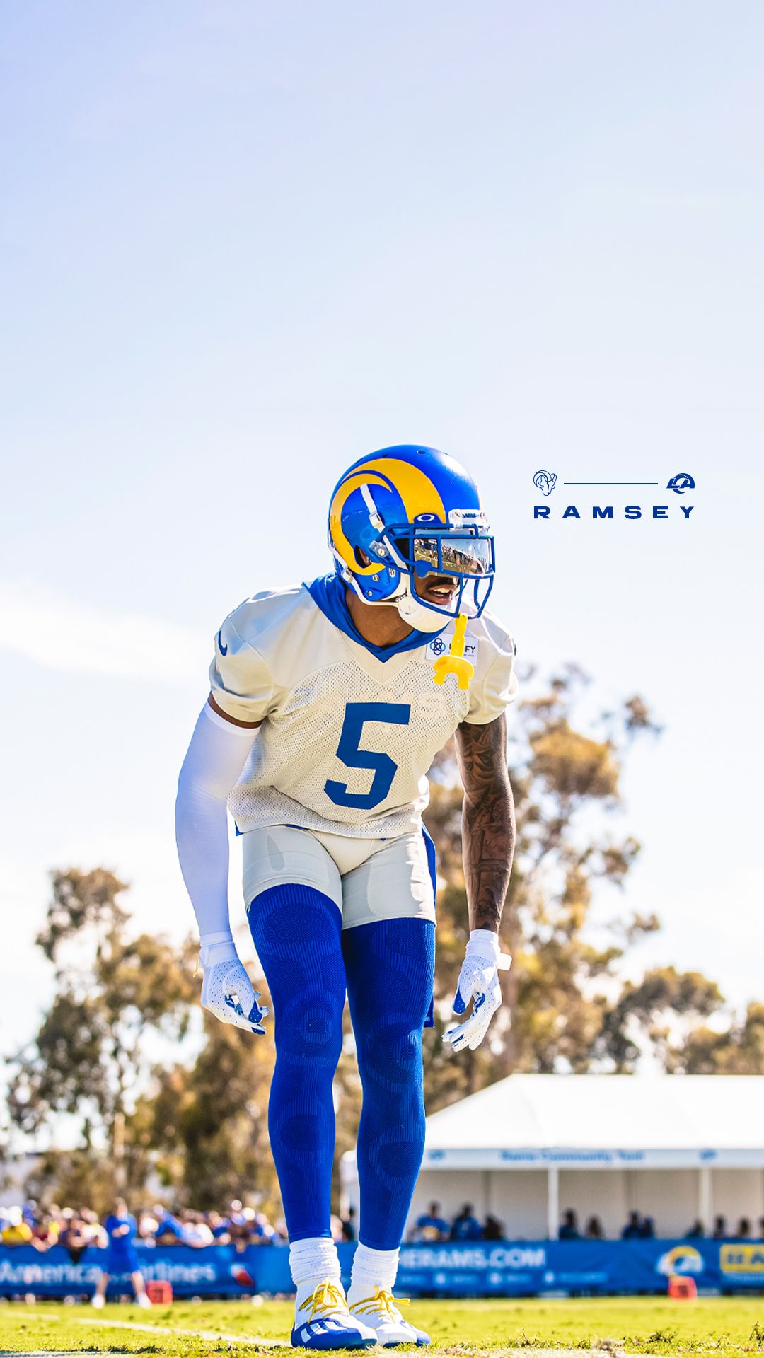 los angeles rams wallpaper,Quality assurance,protein