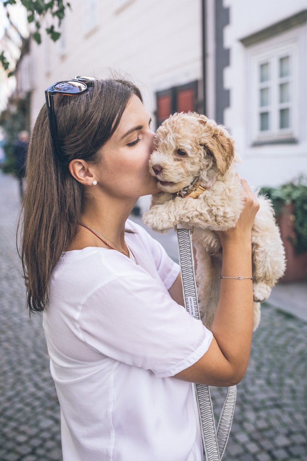 Girl With Dog Picture [HD]. Download Free Image