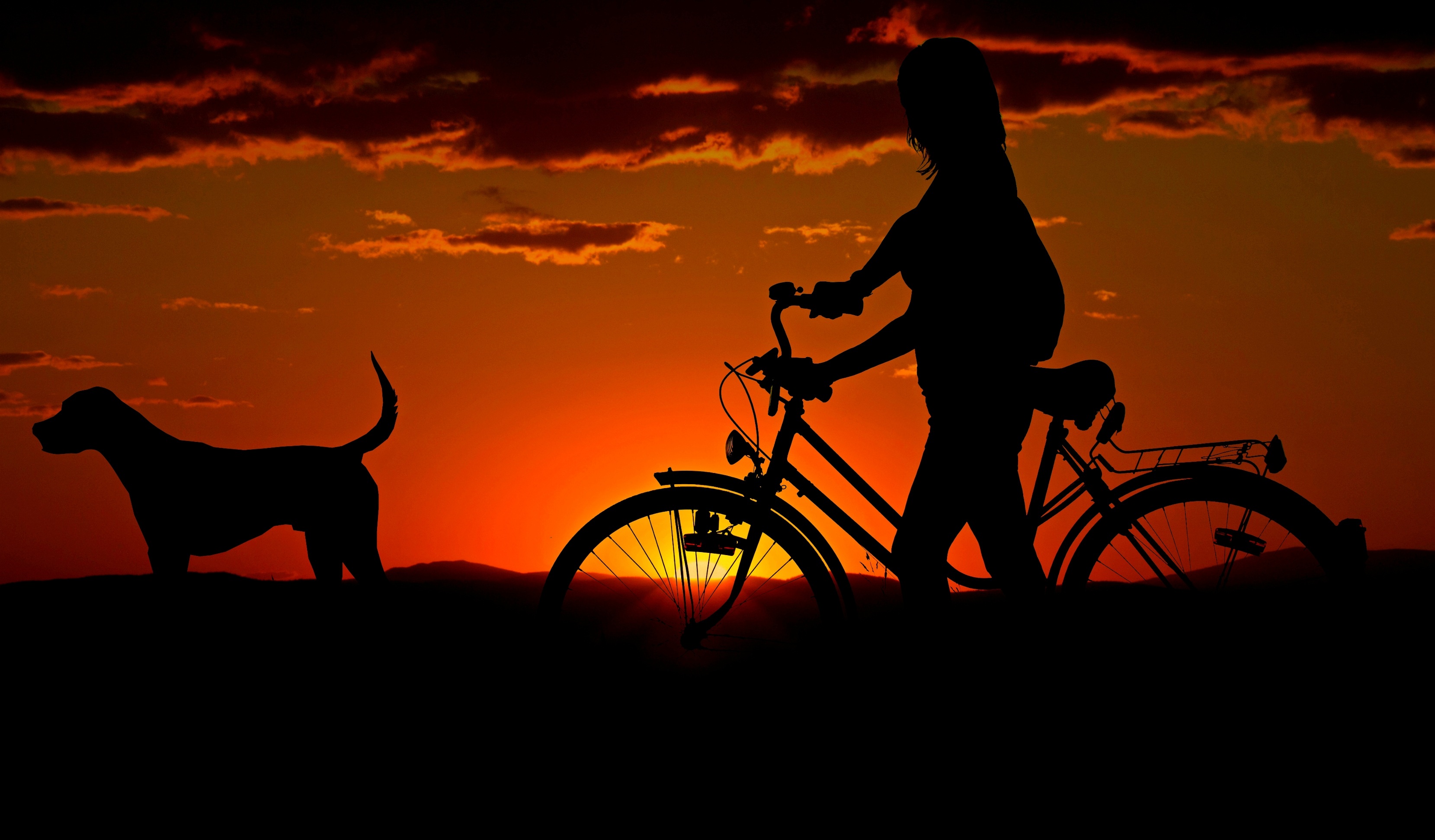 Girl Cycle Dog Morning Walk, HD Photography, 4k Wallpaper, Image, Background, Photo and Picture