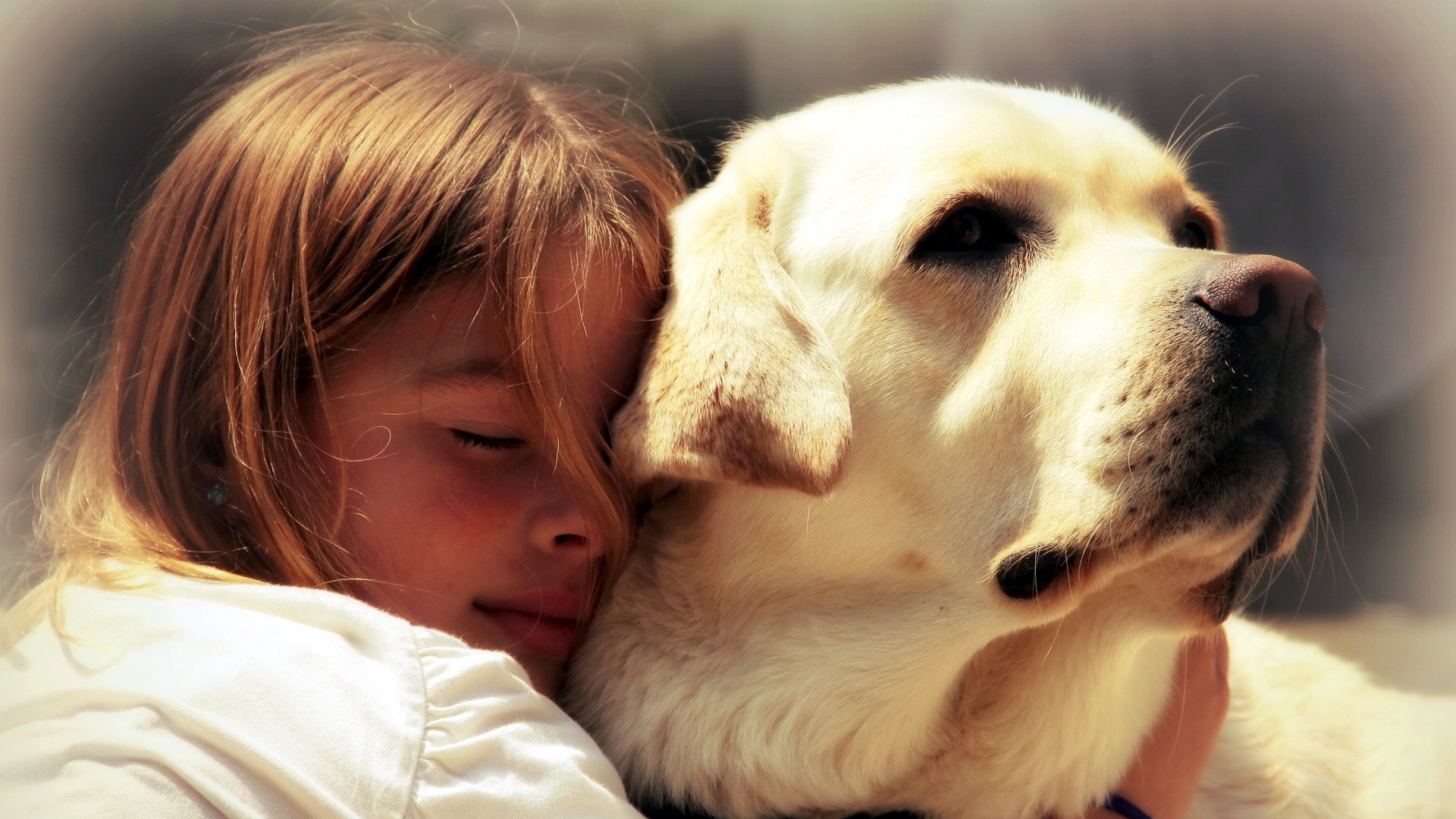 Wallpaper, nose, Person, skin, Friends, Labrador Retriever, child, interaction, human action, dog like mammal, golden retriever, hugs, puppy love 1920x1080