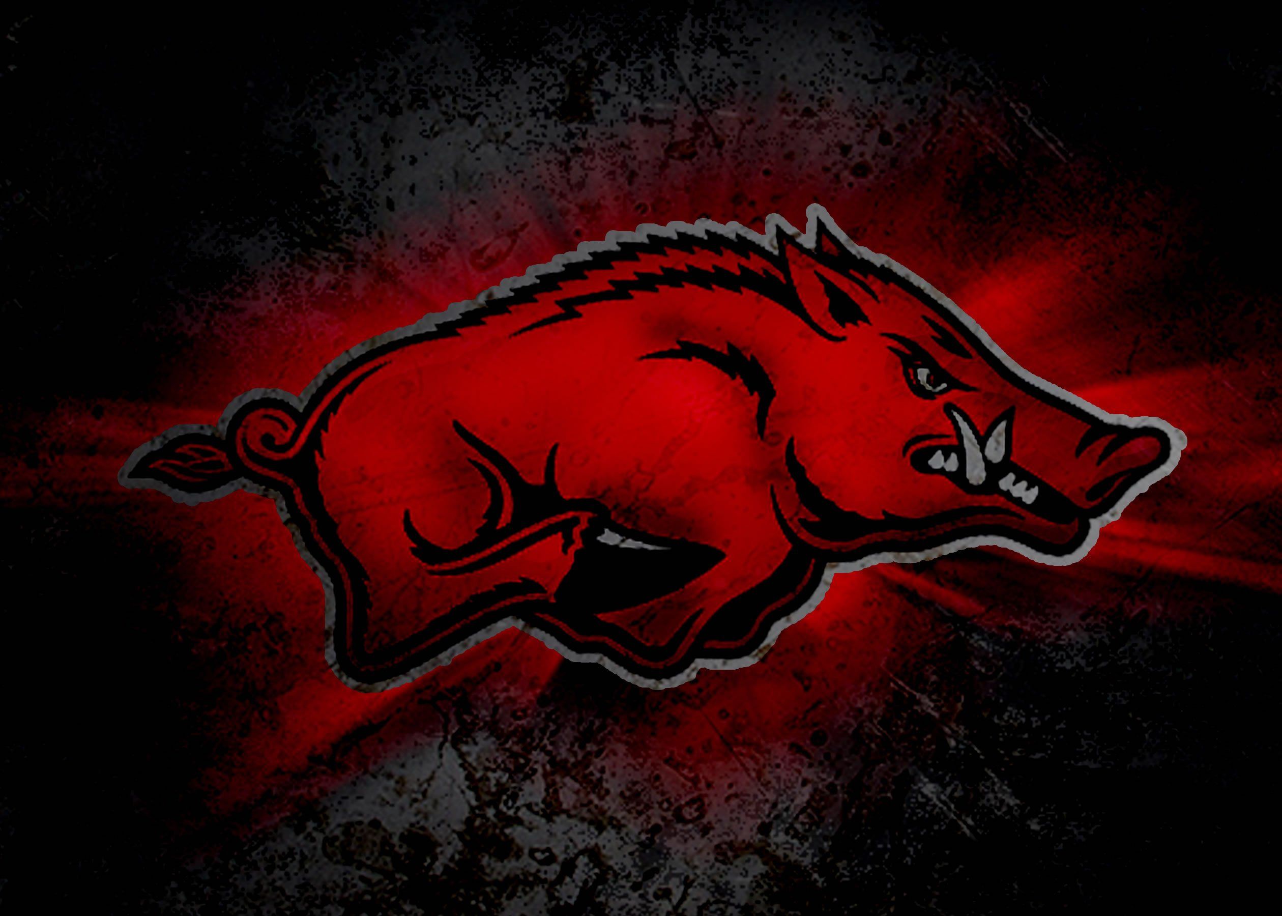 ARKANSAS RAZORBACKS college football wallpaperx1800. Razorback painting, Razorbacks, Arkansas razorbacks