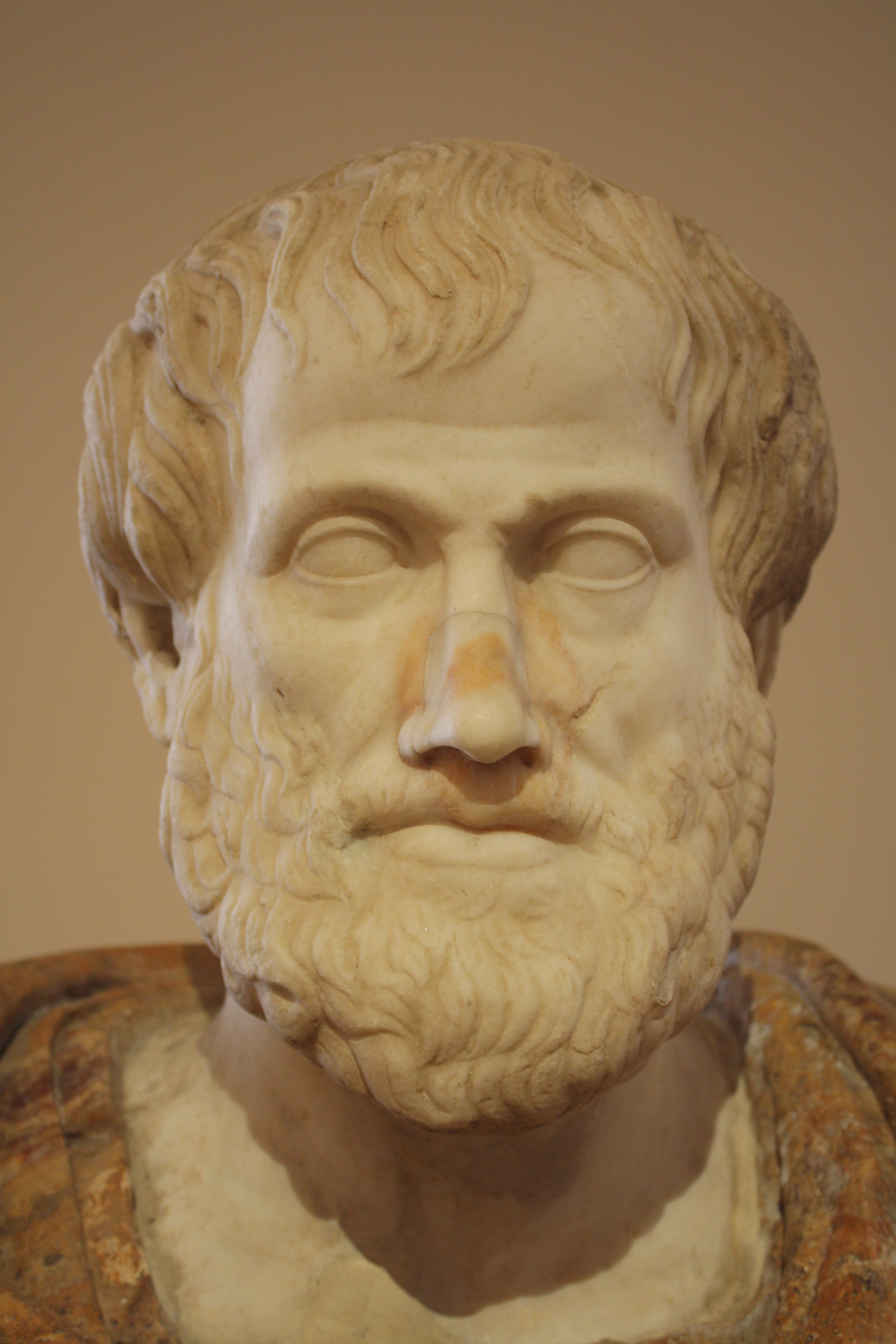 Aristotle Bust by Lisippo (Illustration) History Encyclopedia