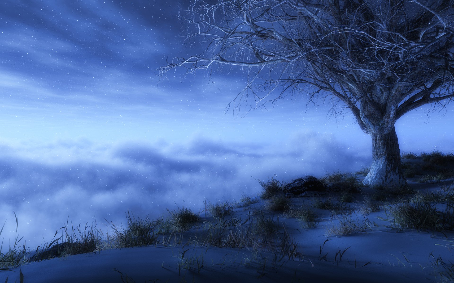 Lonely Tree HD Wallpaper and Background Image