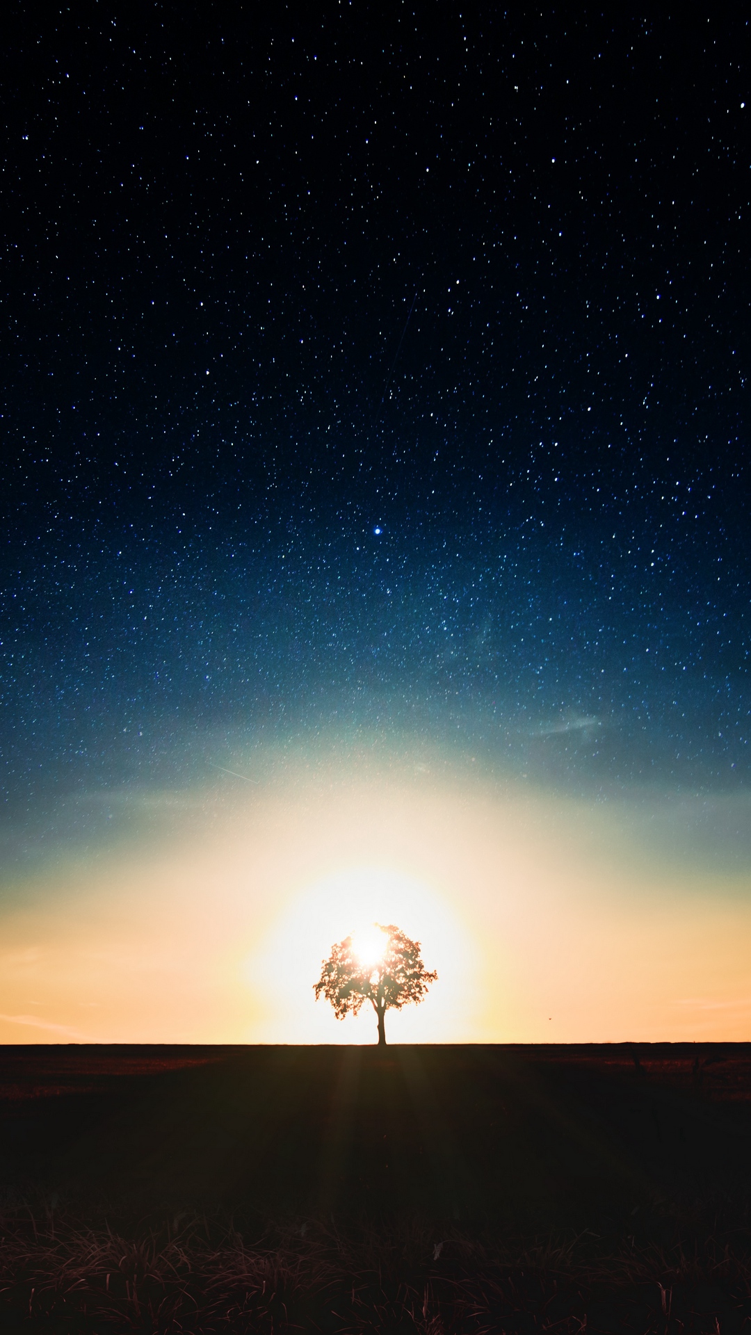 Starry Sky Tree Alone Wallpaper Alone In Galaxy