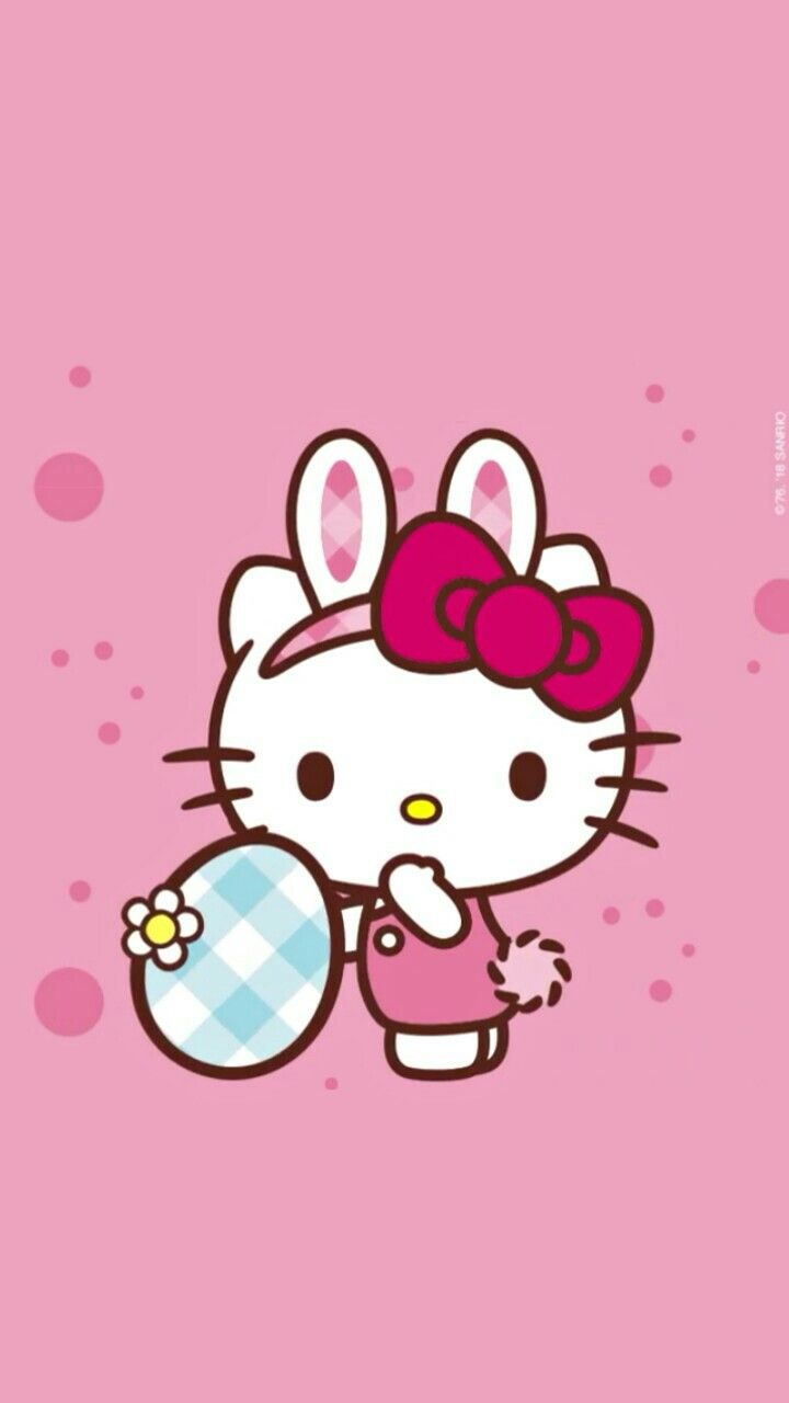 hello kitty rabbit name