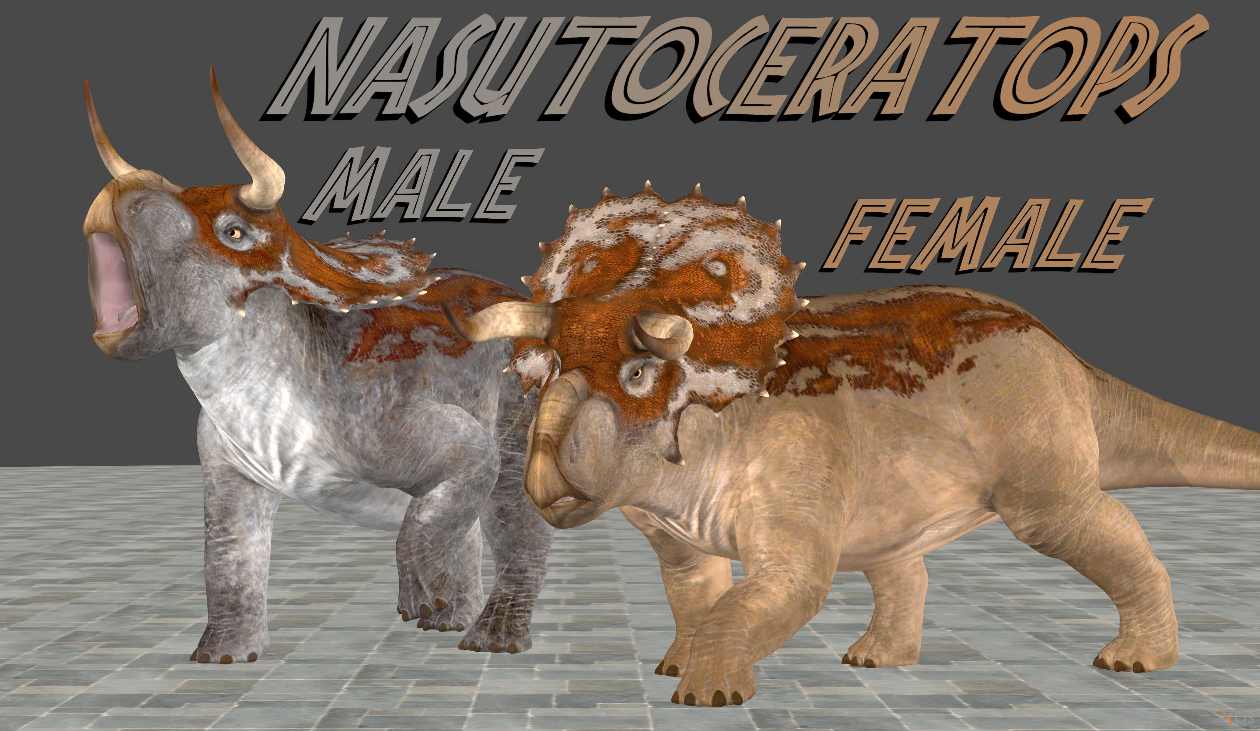 Nasutoceratops (Evolution)