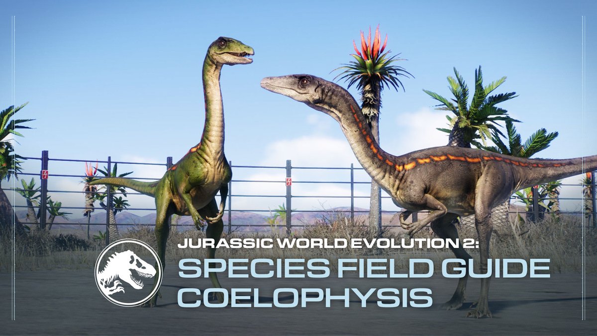 Jurassic World Evolution 2 hello to Coelophysis, this week's Species Field Guide! This early meat eating dinosaur was a swift and agile hunter, and we're happy to have it