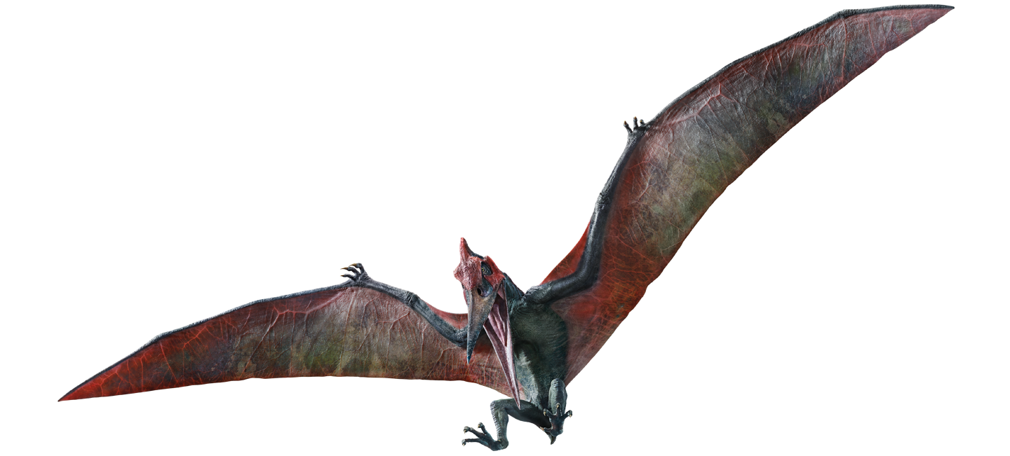 Pteranodon