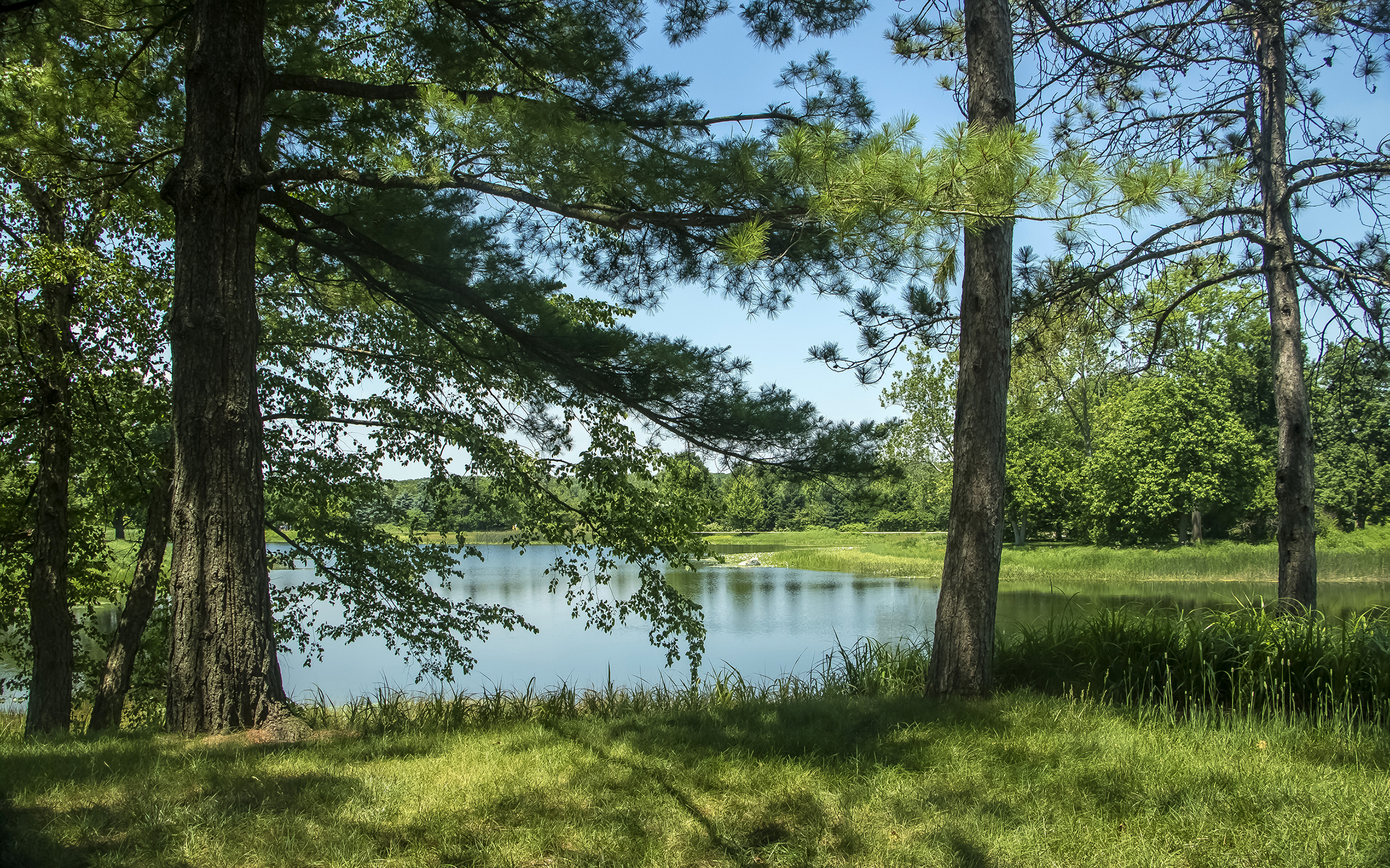 Free download Picture USA Morton Arboretum Northern Illinois Nature 3840x2400 [3840x2400] for your Desktop, Mobile & Tablet. Explore Illinois Summer Wallpaper. Illinois Summer Wallpaper, Illinois Wallpaper, Illinois Wrestling Wallpaper