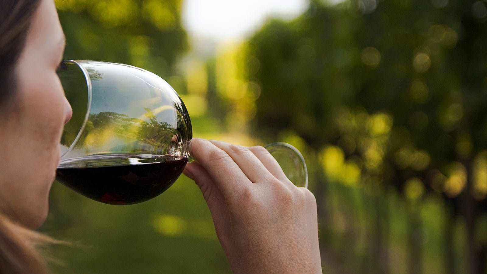 The Towne Winer and Wine: How Alcohol Affects Female Health. Wine Spectator #thetownewiner
