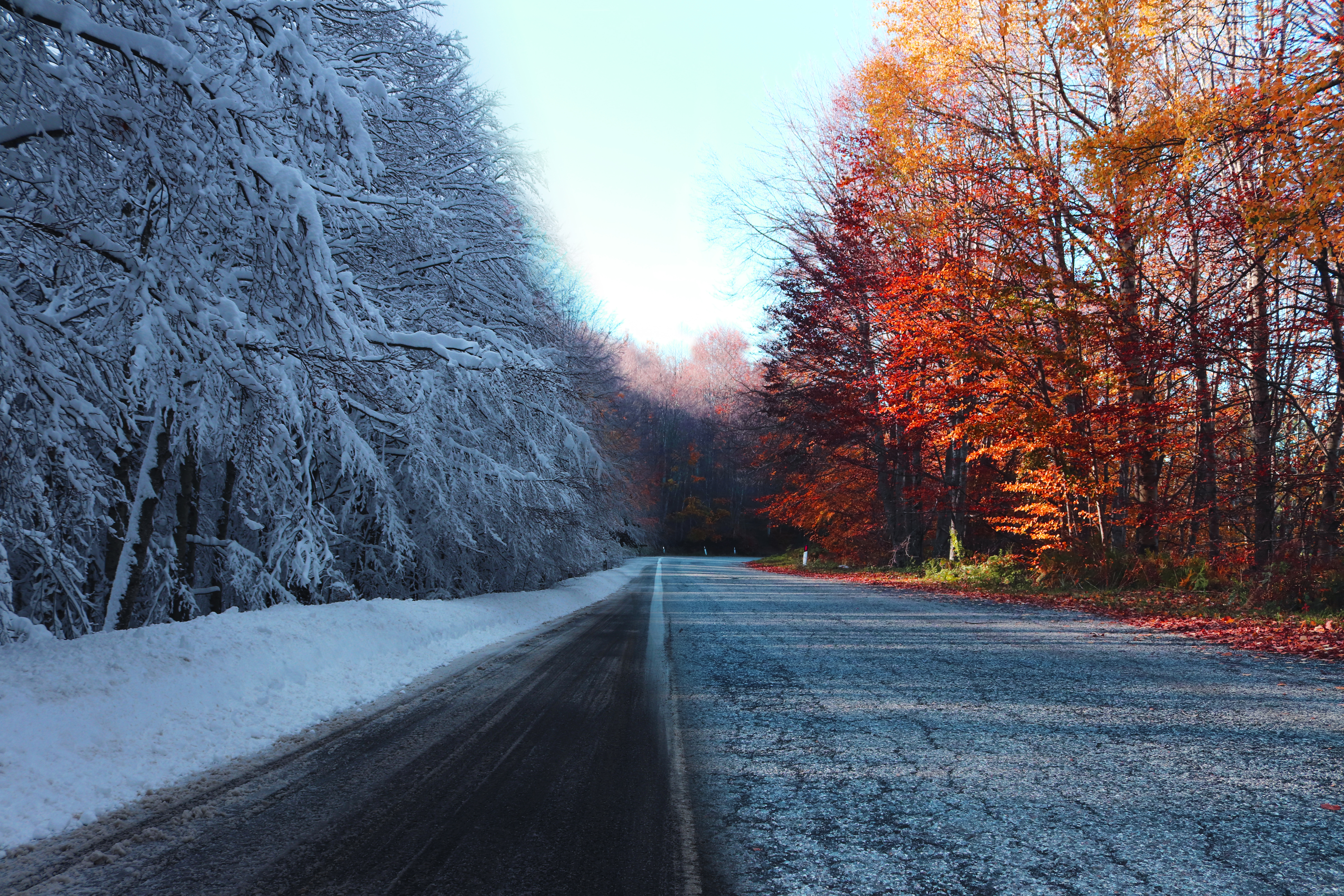 Autumn Vs Winter 5k, HD Nature, 4k Wallpaper, Image, Background, Photo and Picture
