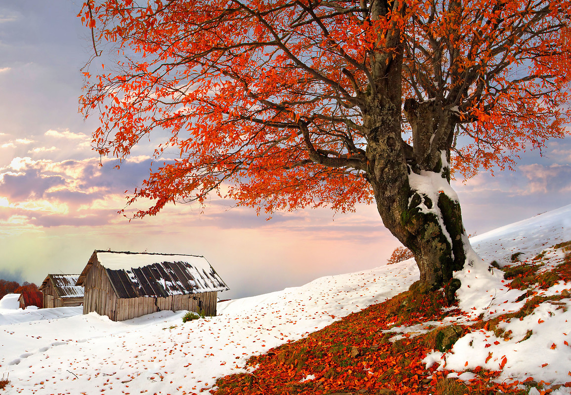 Autumn Winter Free Wallpaper download Free Autumn Winter HD Wallpaper to your mobile phone or tablet