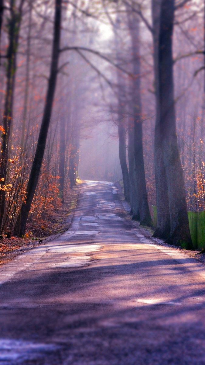 Winter Autumn Road IPhone Wallpaper. IPad Wallpaper, Background, Picture