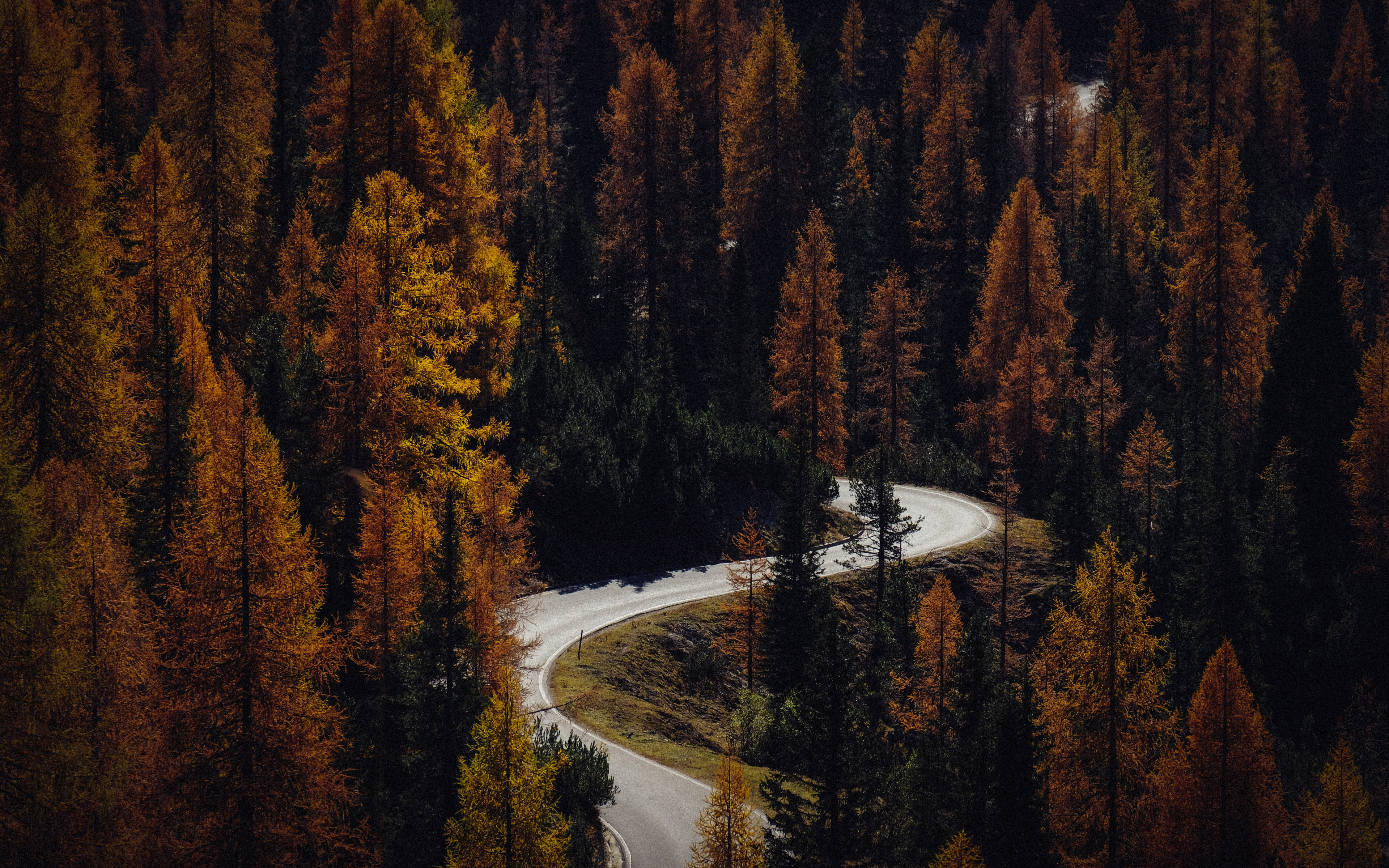 Download Autumn, road, turns, forest, nature wallpaper, 3840x 4K Ultra HD 16: Widescreen