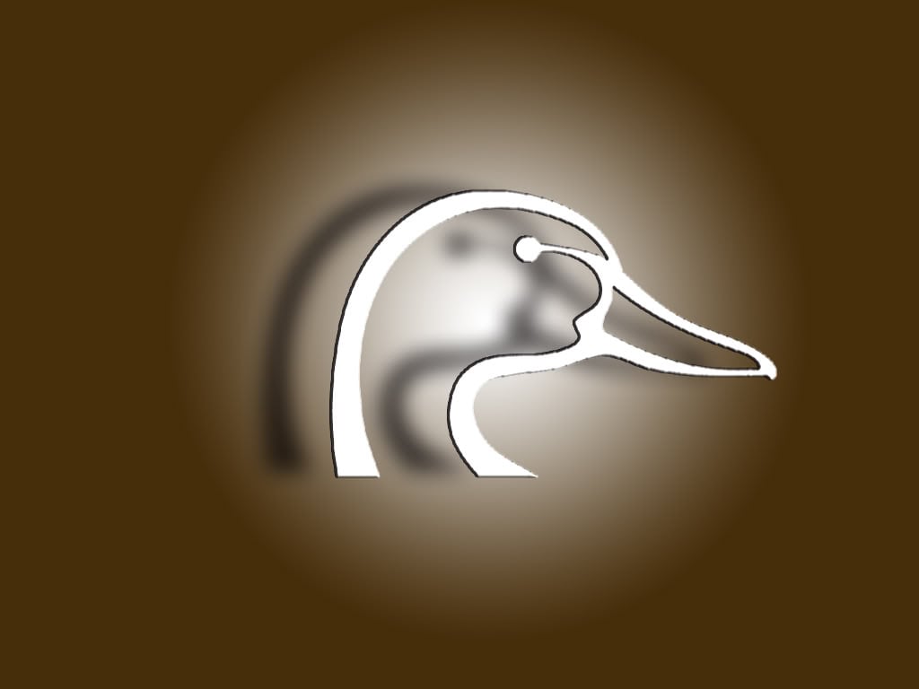 ducks unlimited logo wallpaper