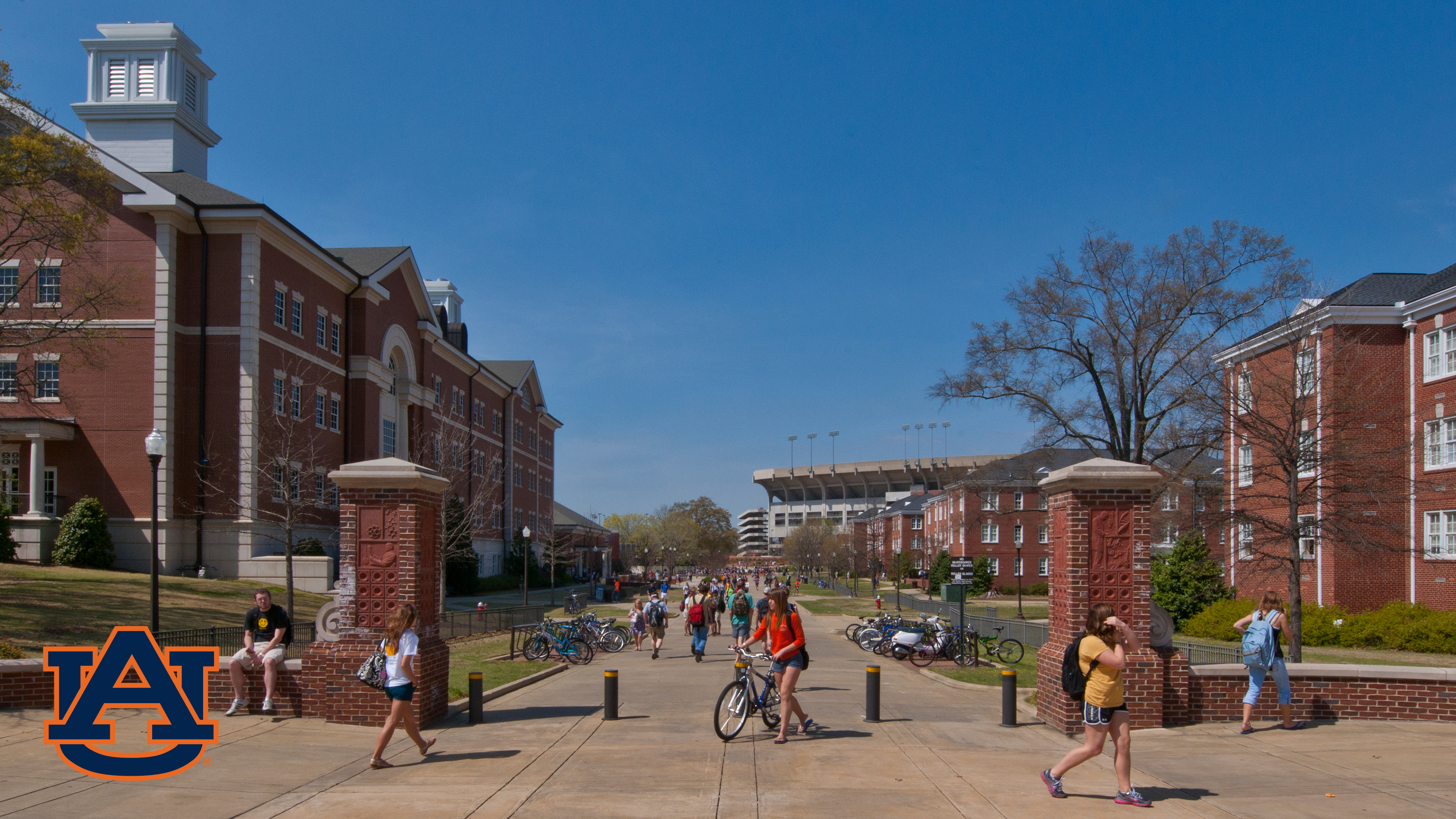 Zoom Virtual Background