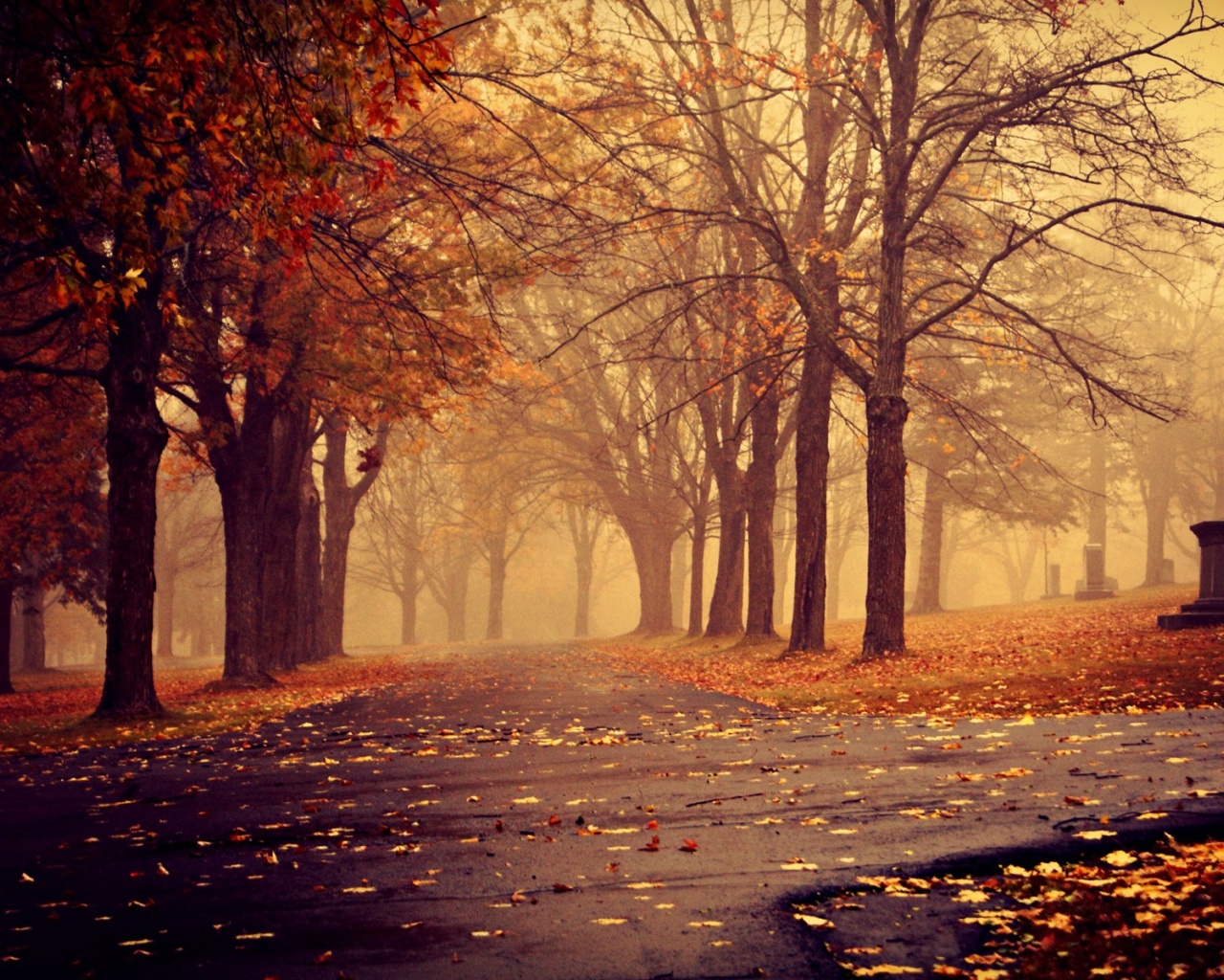 Park in Autumn desktop PC and Mac wallpaper