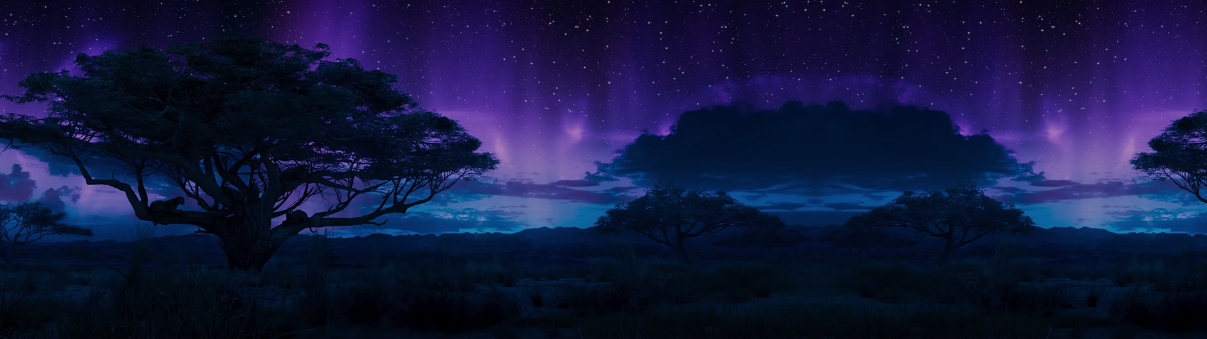 Black Panther: multiwall