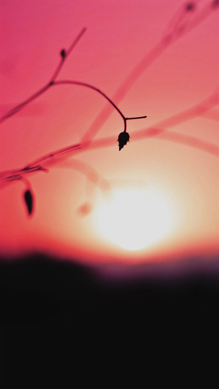 Latest Minimal iPhone 8 HD Wallpaper