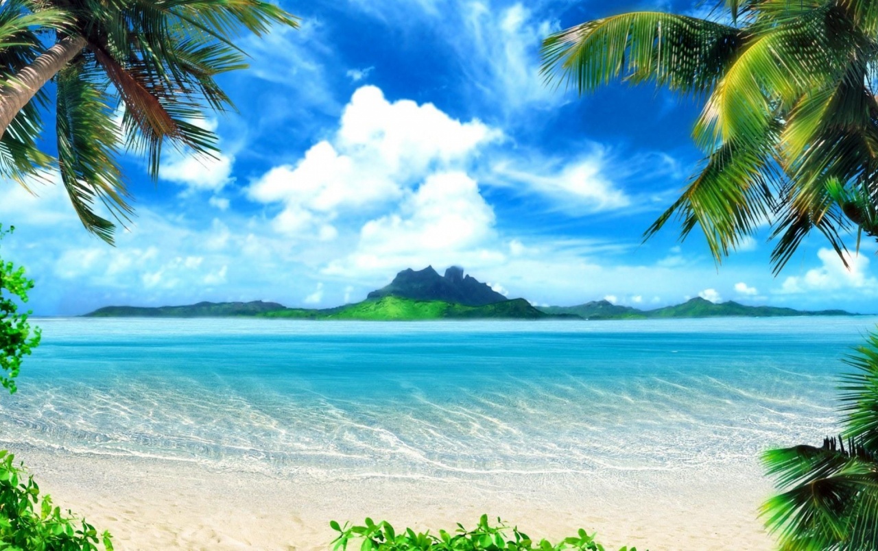 Azure Ocean Beach Palms Island wallpaper. Azure Ocean Beach Palms Island