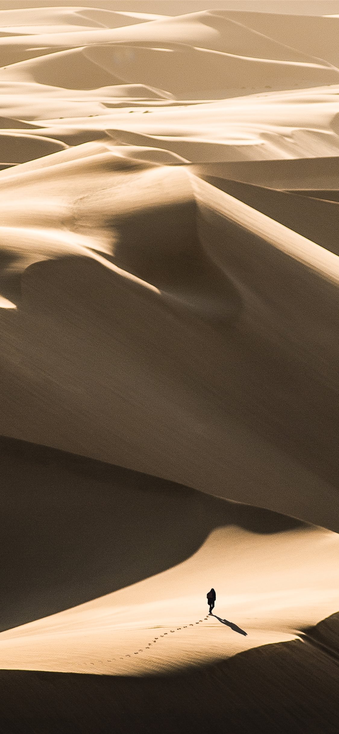 Best Desert iPhone X HD Wallpaper