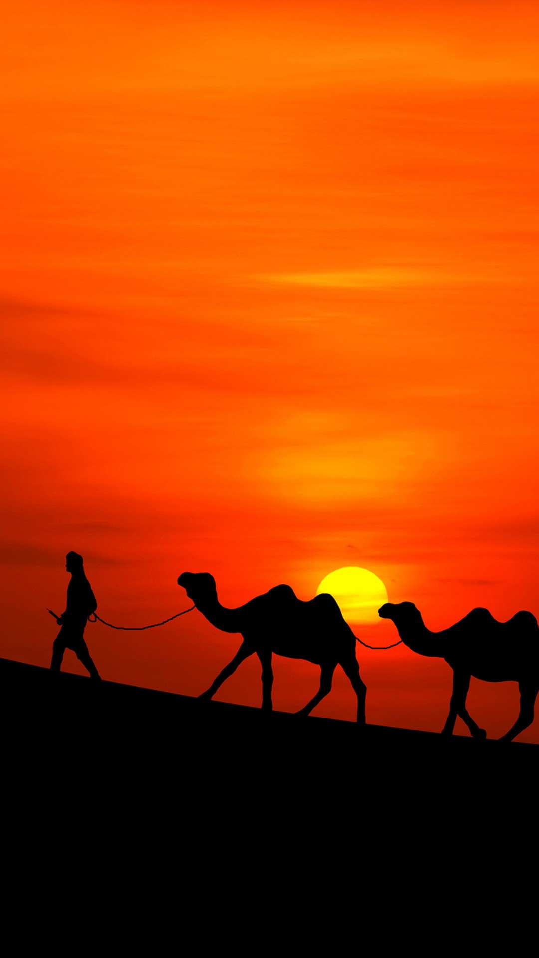 ScreenBeauty. Arabian Sunset Camels