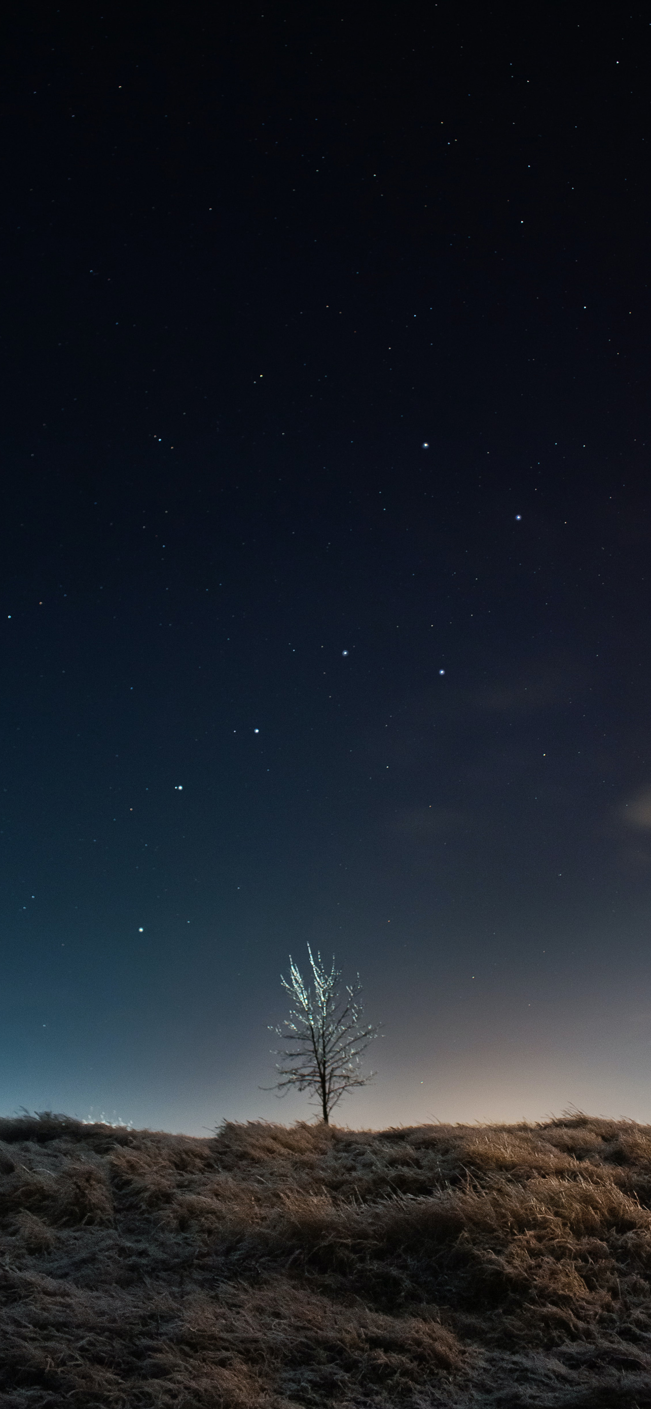 iPhone 2021 Wallpaper