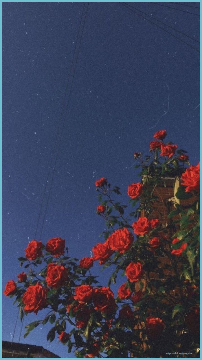 Retro Aesthetic IPhone Wallpaper Free Retro Aesthetic Aesthetic Wallpaper iPhone