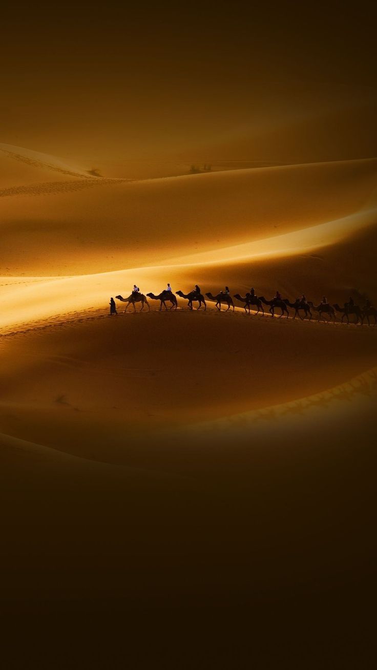 Desert Sunset Riders Kamele Reisen Smartphone Wallpaper und Lockscreen HD #desert #kamele #reise. Sunset wallpaper, New nature wallpaper, Desert sunset