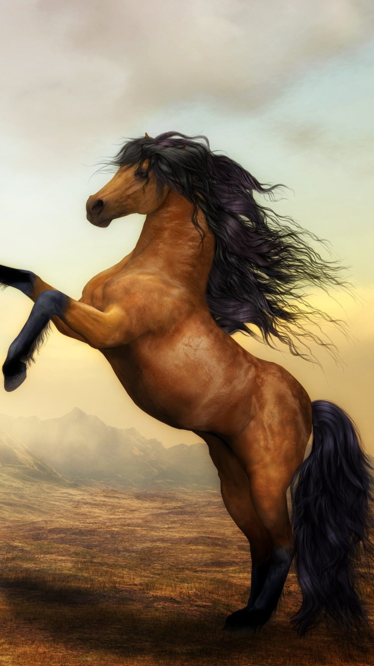 Arabian Horse Wallpaper iPhone