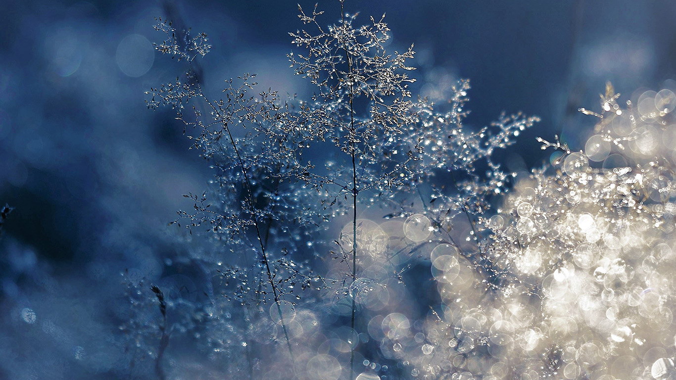 wallpaper for desktop, laptop. snow bokeh light beautiful nature blue