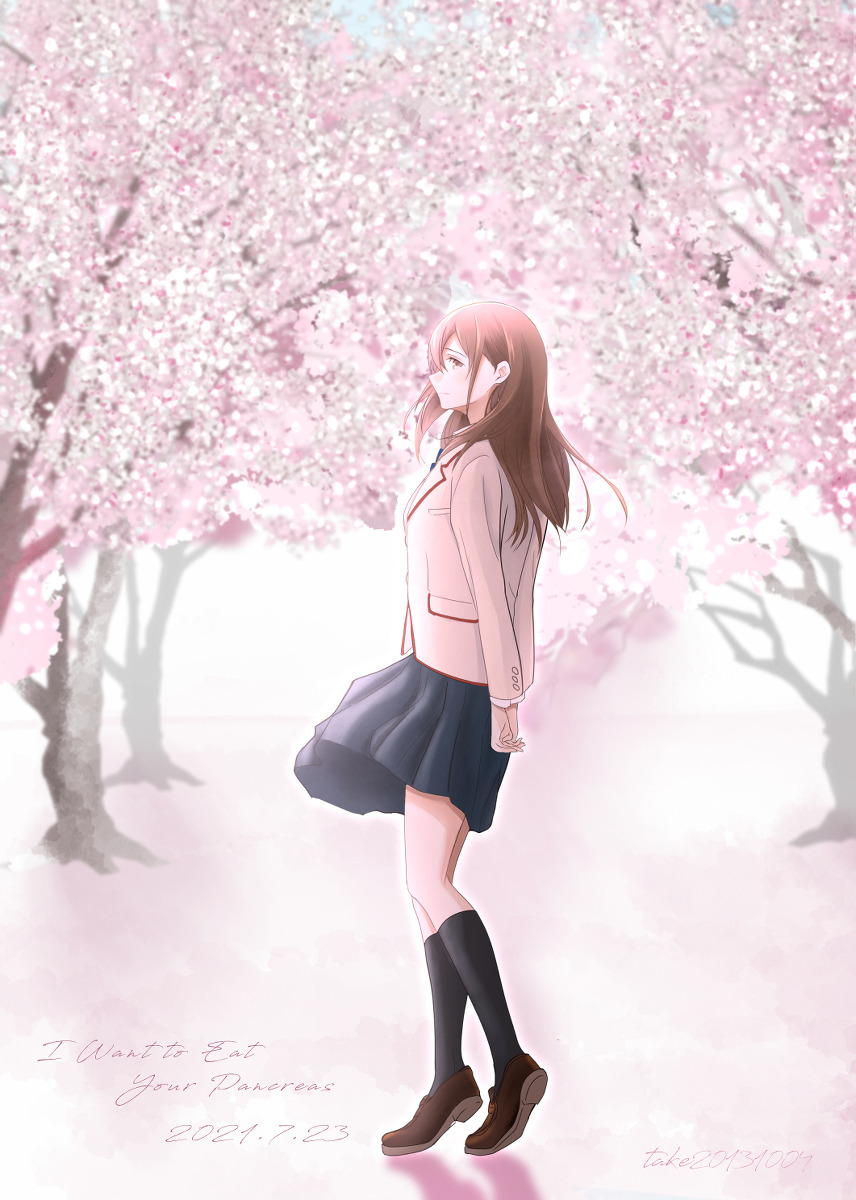 I Want To Eat Your Pancreas iPhone Wallpapers - Wallpaper Cave