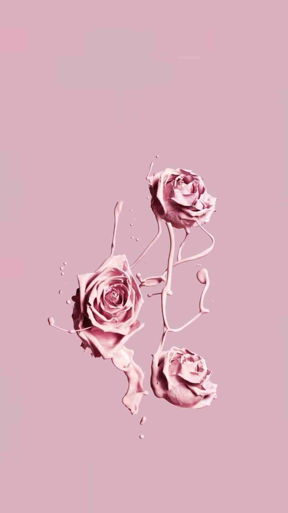 Rose Gold Aesthetic Wallpaper