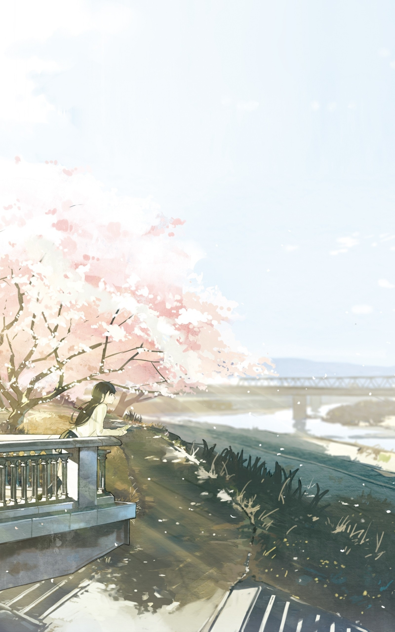 Download 1600x2560 Anime Landscape, Girl And Boy, Sakura Blossom, River, Bridge, Scenic Wallpaper for Google Nexus 10