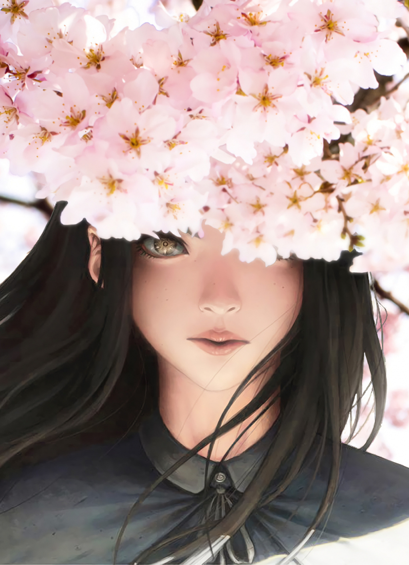 10++ Anime Sakura Wallpaper iPhone