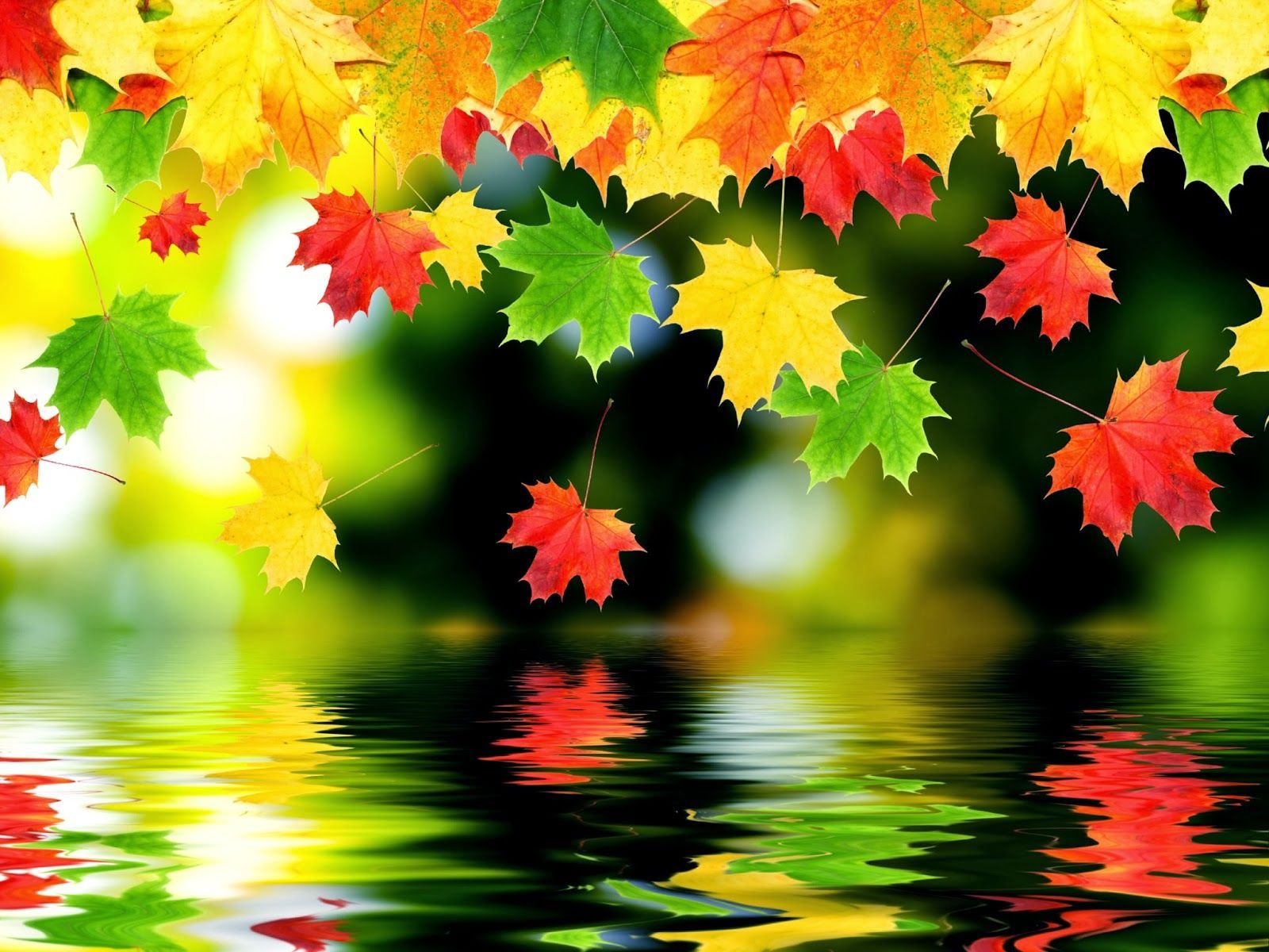 Beautiful Fall Picture Wallpaper Free Beautiful Fall Picture Background