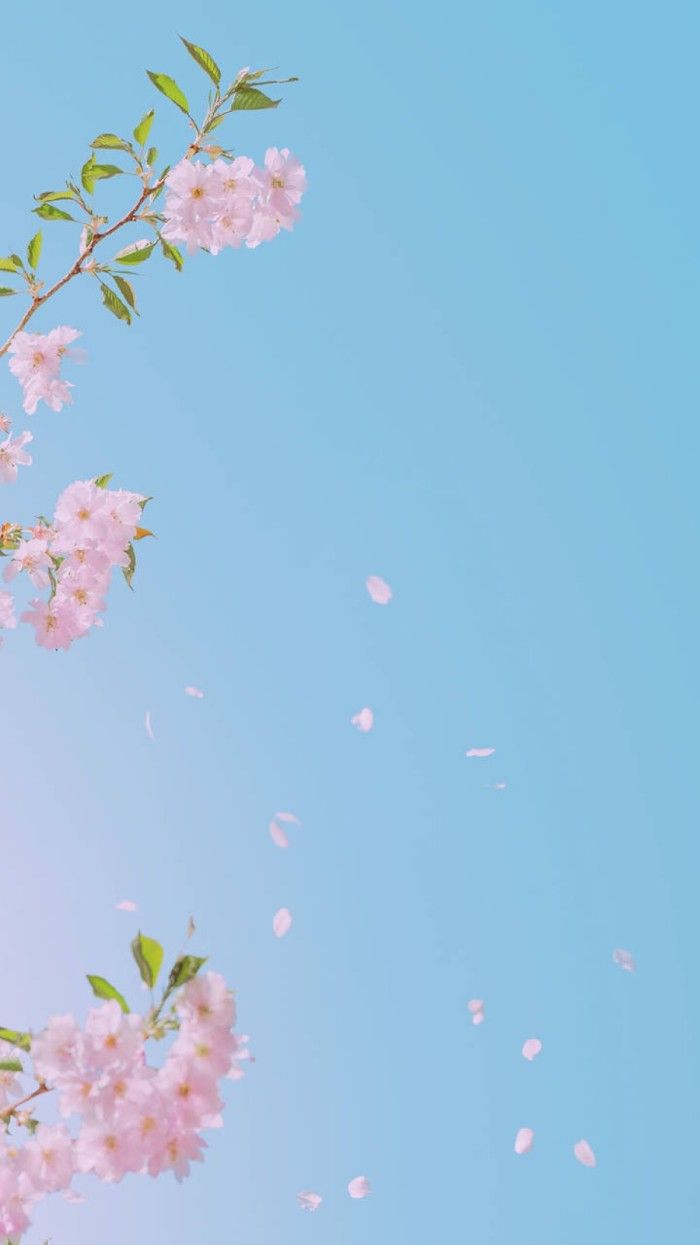 Anime girl, big smile, flower bouquet, blonde, Anime, HD phone wallpaper |  Peakpx