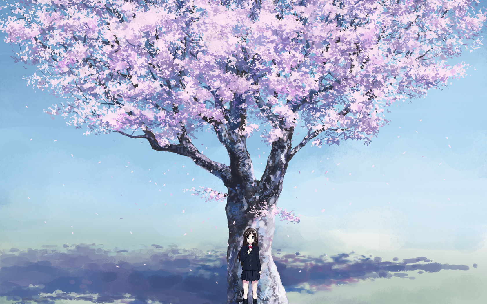 Anime School Girl Cherry Blossom Umbrella 4K Wallpaper iPhone HD Phone  3570h