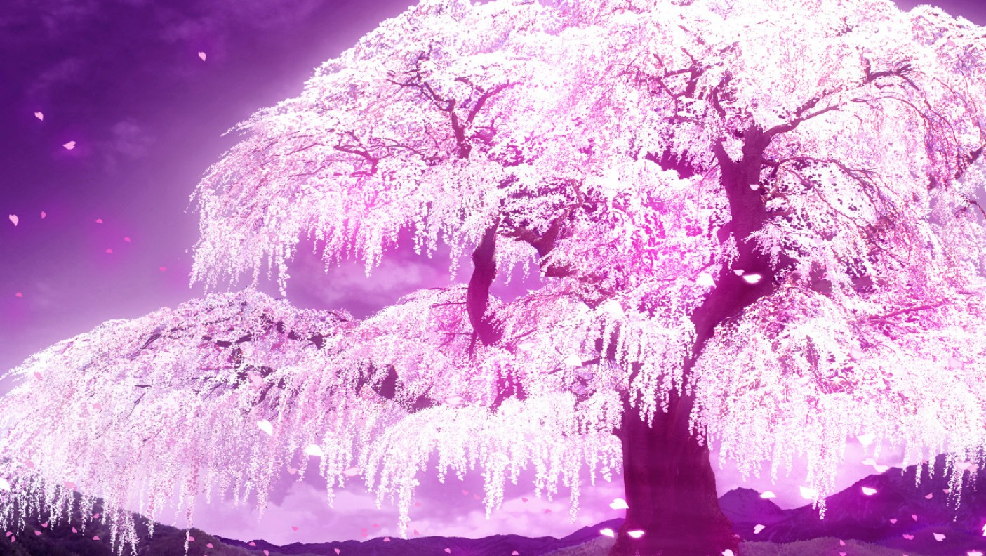 Free download Cherry Blossom Tree Anime Cherry Blossom wallpaper ForWallpapercom [1405x792] for your Desktop, Mobile & Tablet. Explore Sakura Tree Wallpaper. Sakura Flower Wallpaper, Cherry Blossom Windows Wallpaper