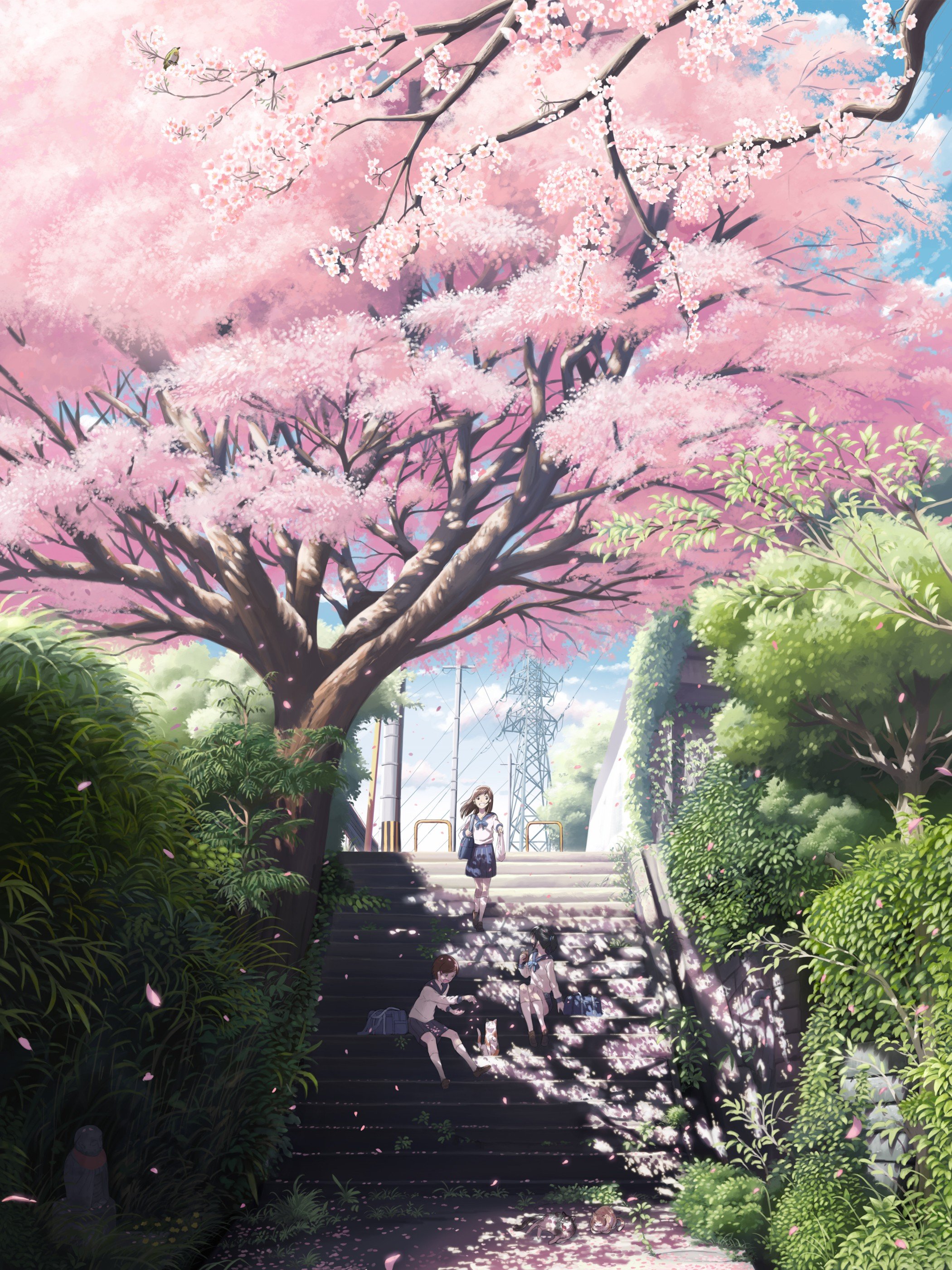 #trees, #nature, #anime, wallpaper. Mocah HD Wallpaper