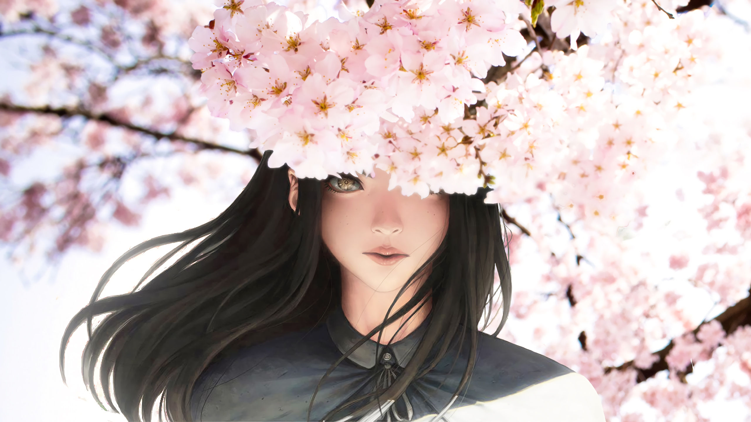 #Beautiful, #Anime girl, #Sakura, #Cherry blossom. Mocah HD Wallpaper