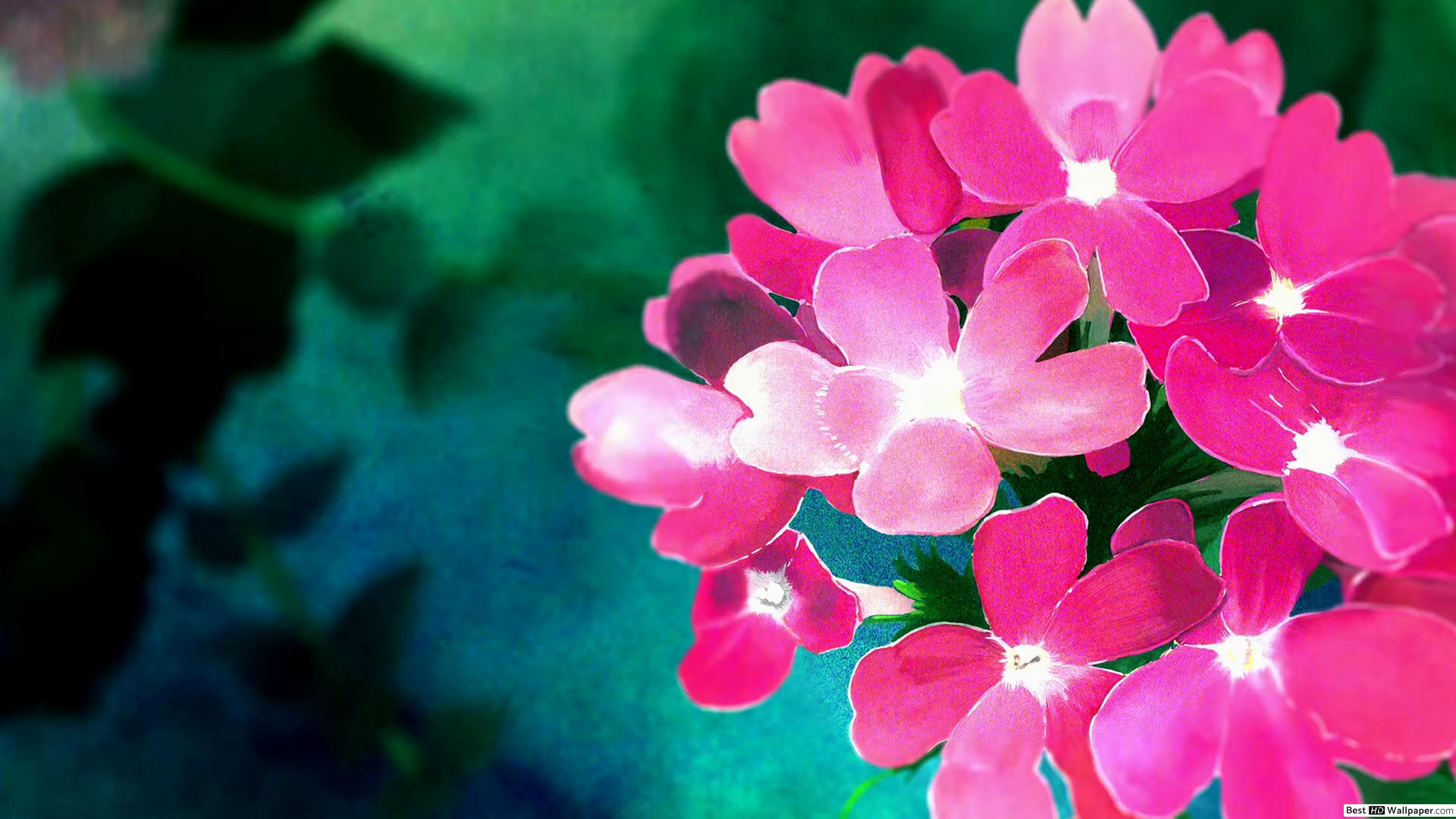 Anime pink flower HD wallpaper download