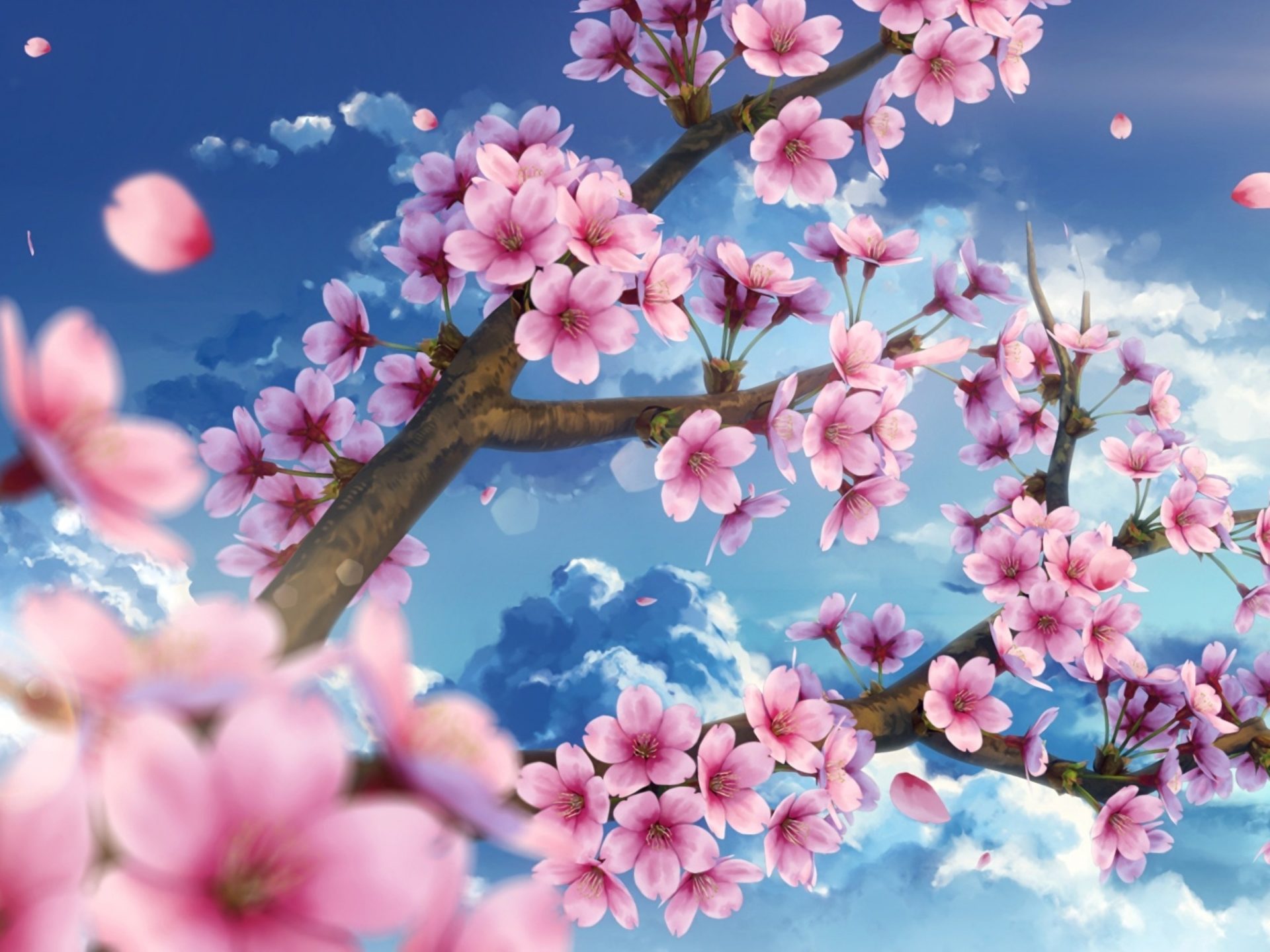 Sakura Wallpaper Flowering Tree Branch With Pink Flowers, Wallpaper13.com