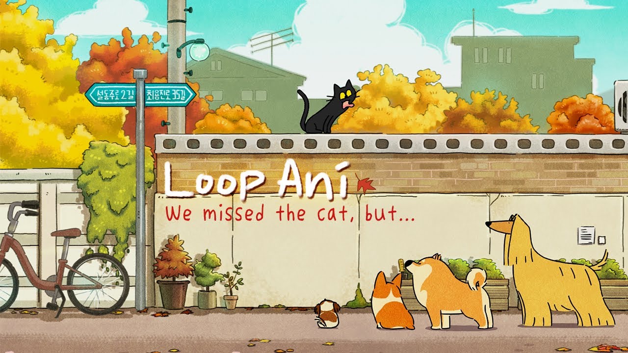 Missed The Cat, But, loop animation, Doggie Corgi