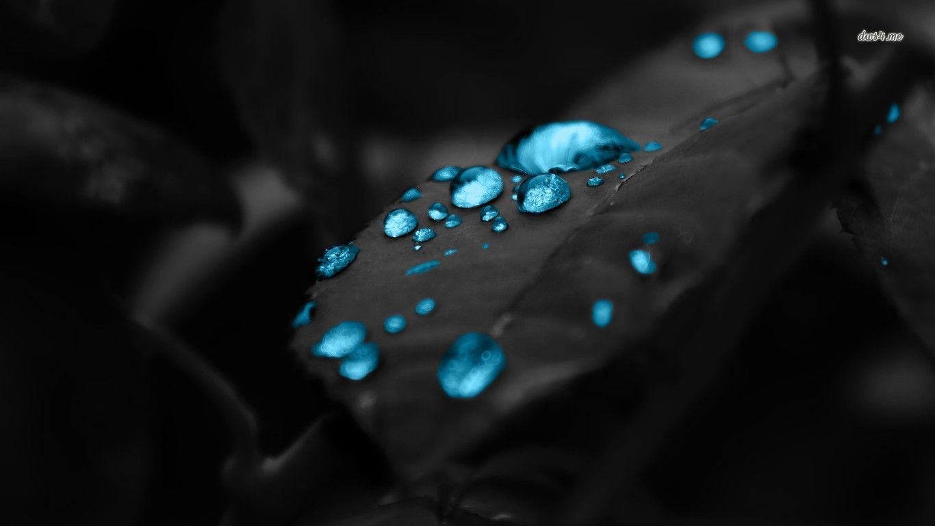 Blue water drops on a dark leaf wallpaper Art wallpaper