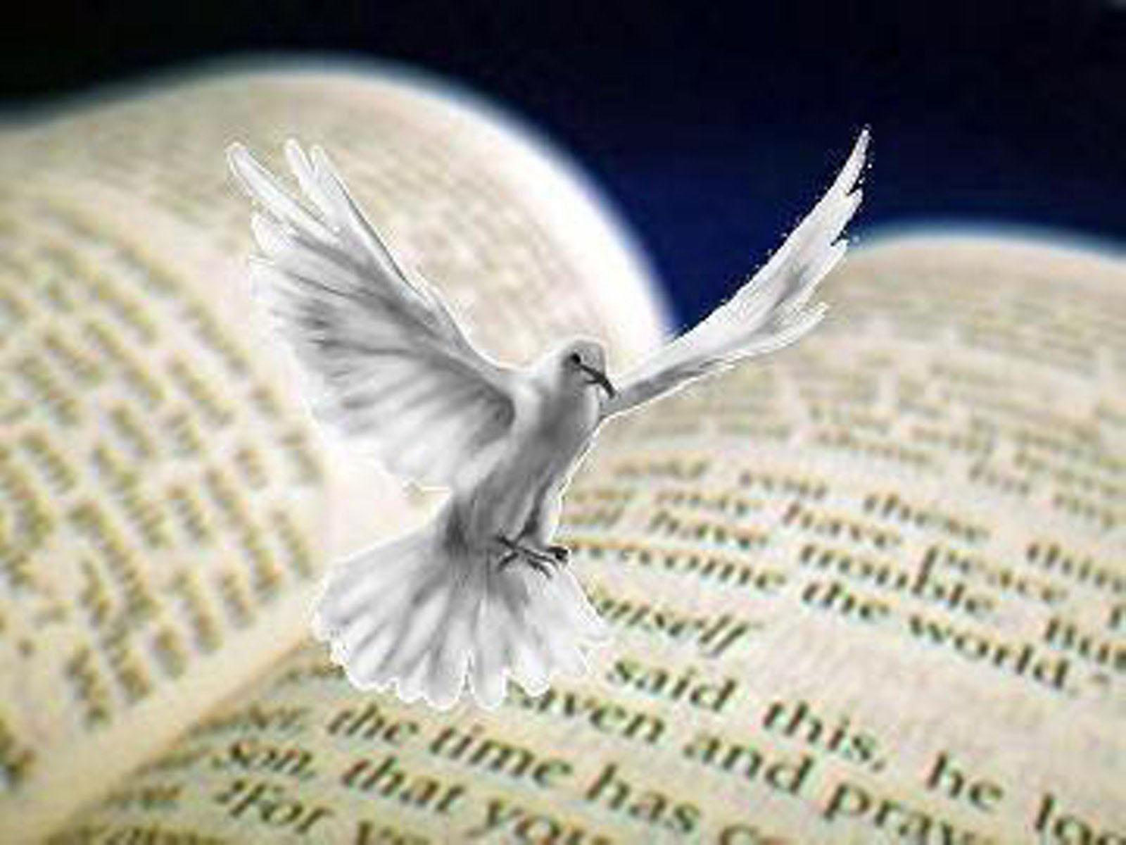 Holy Spirit With Bible Of God Holy Spirit