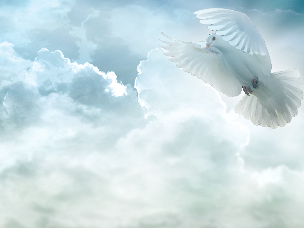Free download Pics Photo The Holy Spirit Wallpaper [1024x768] for your Desktop, Mobile & Tablet. Explore Holy Spirit Wallpaper. Holy Wallpaper, Holy Week Wallpaper Background