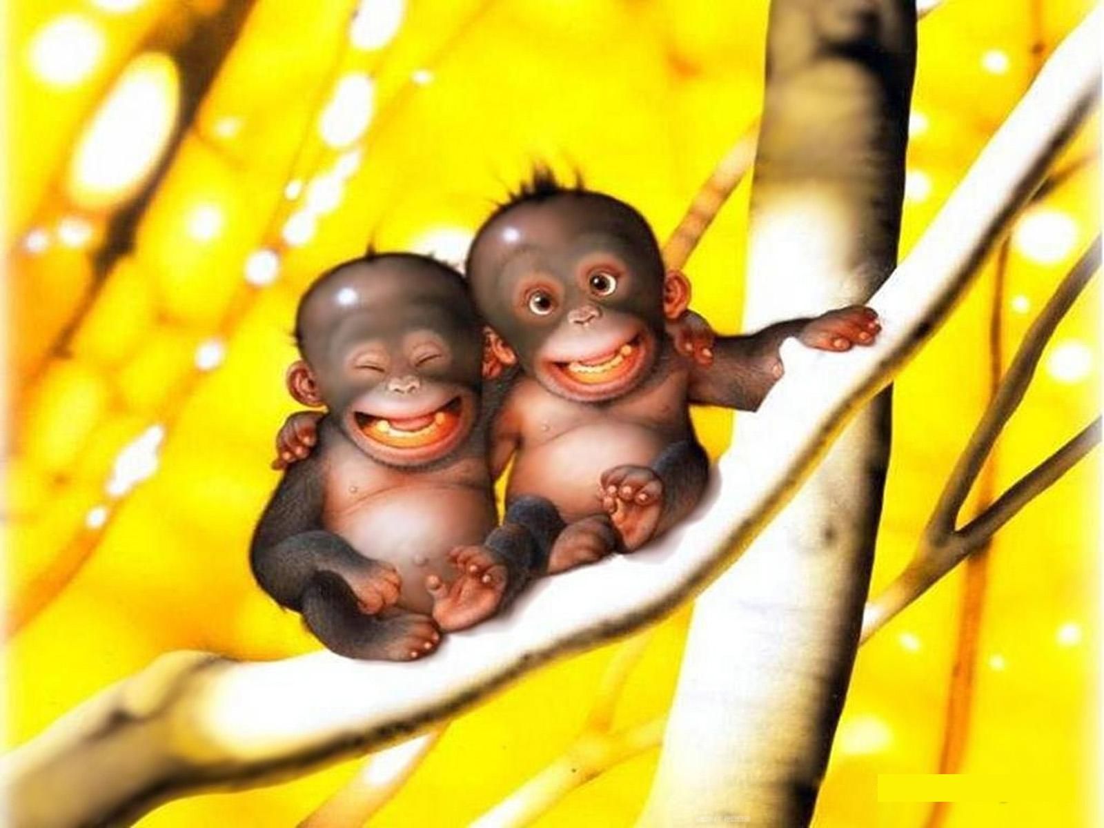 Две обезьяны улыбаются