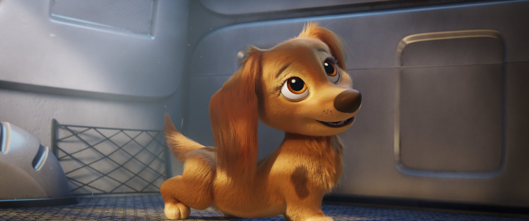 Watch the For PAW Patrol: The Movie